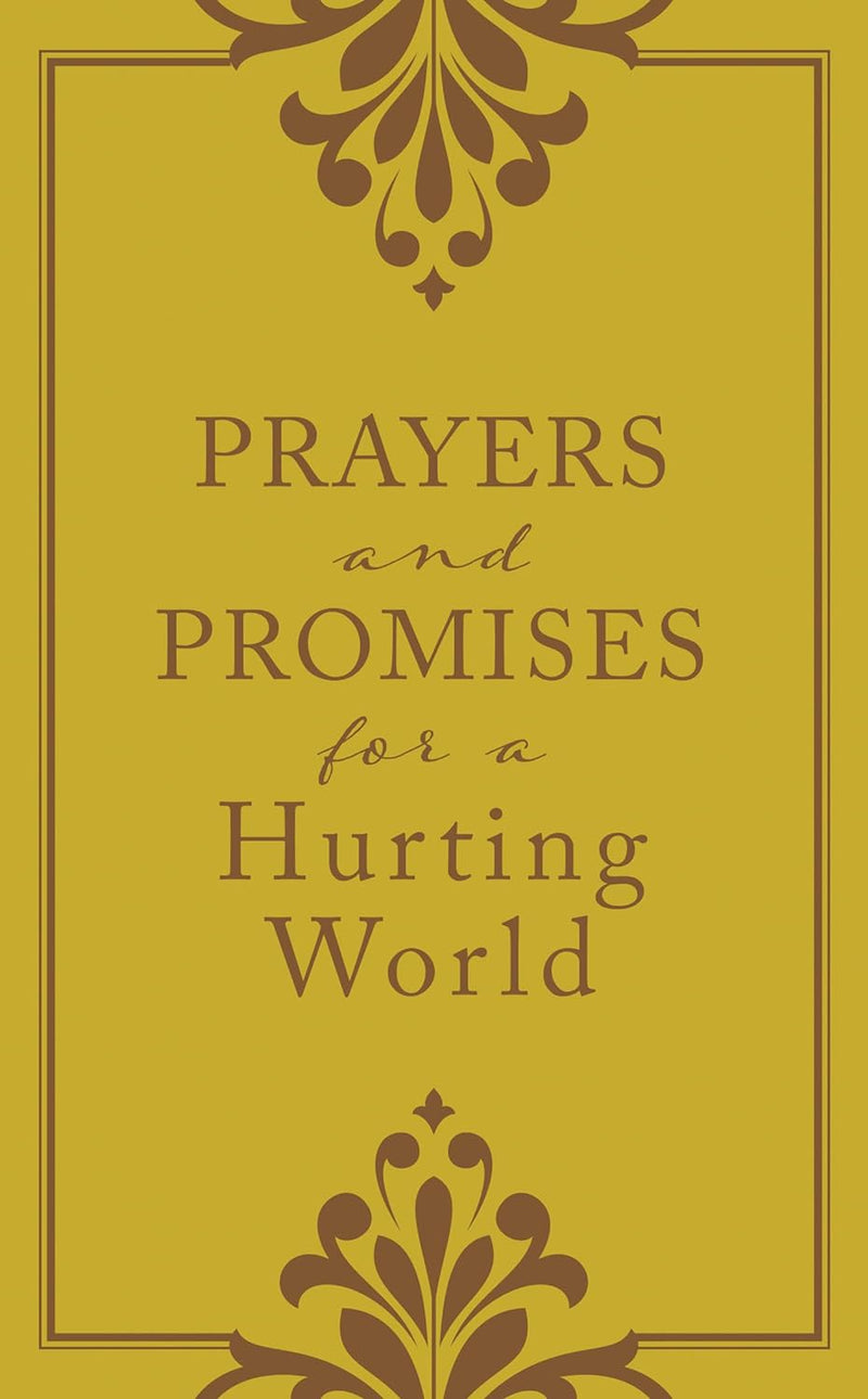 Prayers and Promises for a Hurting World Paperback - by Laura Freudig