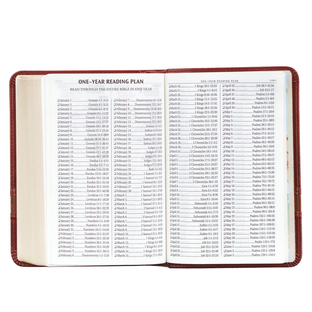 Two-tone Brown Faux Leather Large Print Compact King James Version Bible