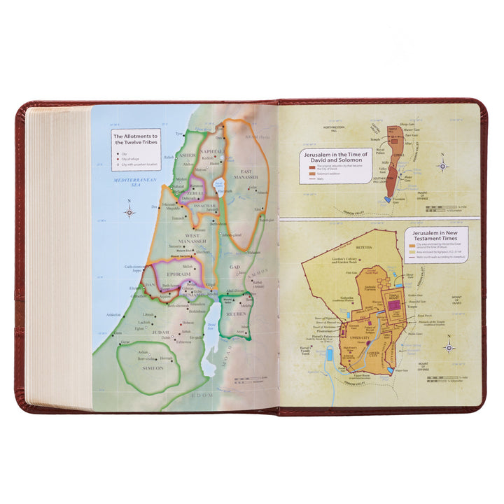 Two-tone Brown Faux Leather Large Print Compact King James Version Bible