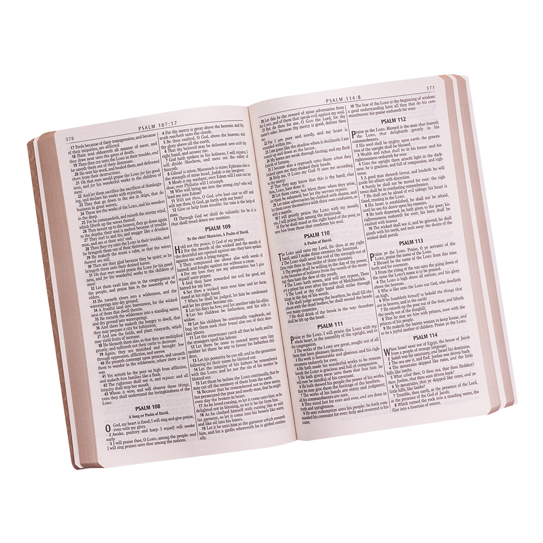 Tan Faux Leather King James Version Gift and Award Bible