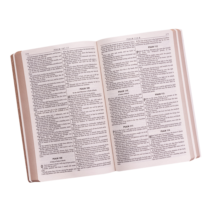 Tan Faux Leather King James Version Gift and Award Bible