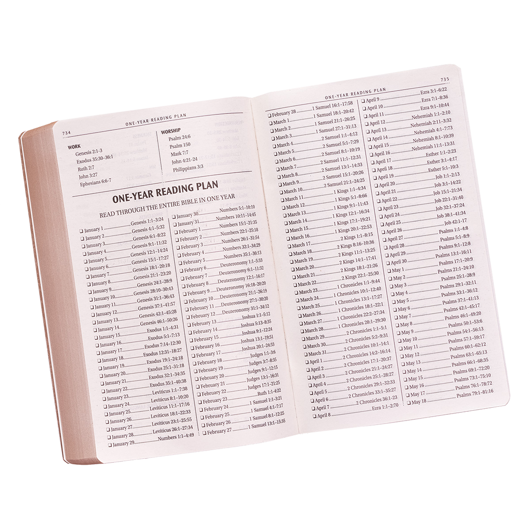 Tan Faux Leather King James Version Gift and Award Bible