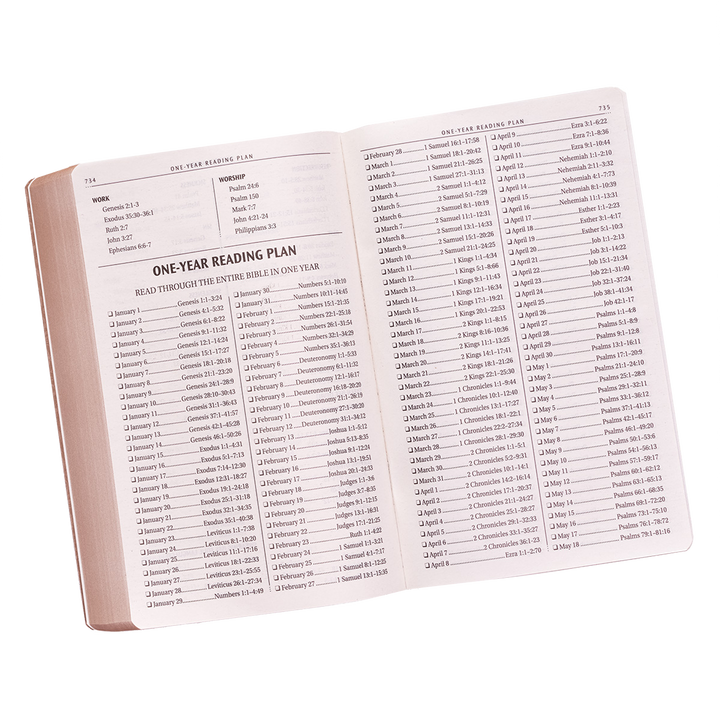 Tan Faux Leather King James Version Gift and Award Bible