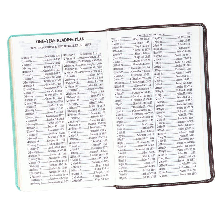 KJV Holy Bible, Giant Print Standard Size, Teal and Brown Faux Leather w/Ribbon Marker, Red Letter, King James Version