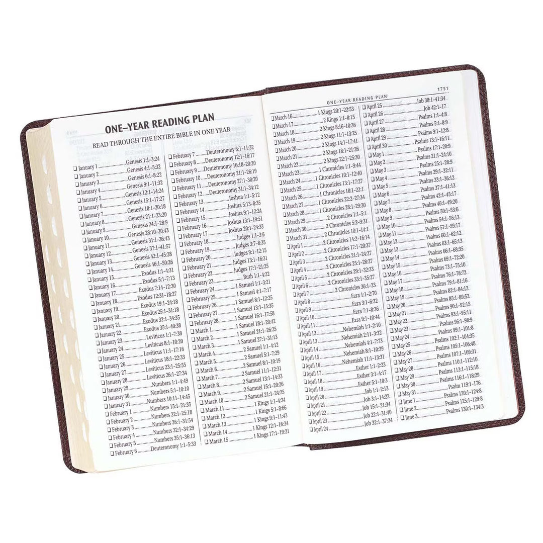 Dark Brown Faux Leather Giant Print Standard-size King James Version Bible with Thumb Index