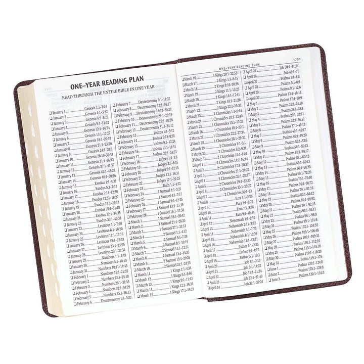 Dark Brown Faux Leather Giant Print Standard-size King James Version Bible with Thumb Index