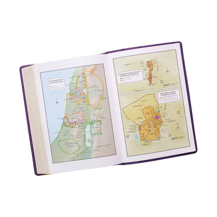 Purple Faux Leather Super Giant Print King James Version Bible