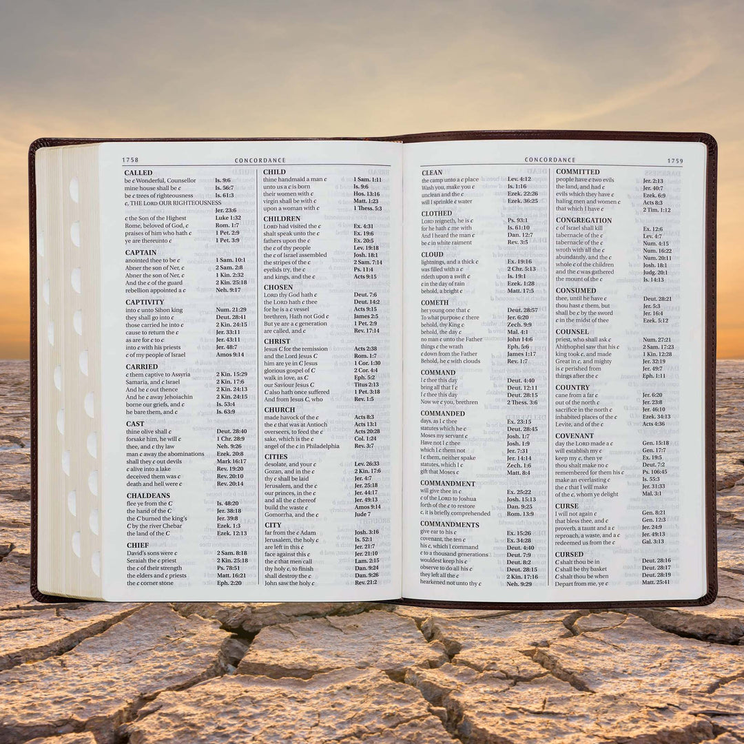 Chestnut Brown Faux Leather Super Giant Print King James Version Bible with Thumb Index