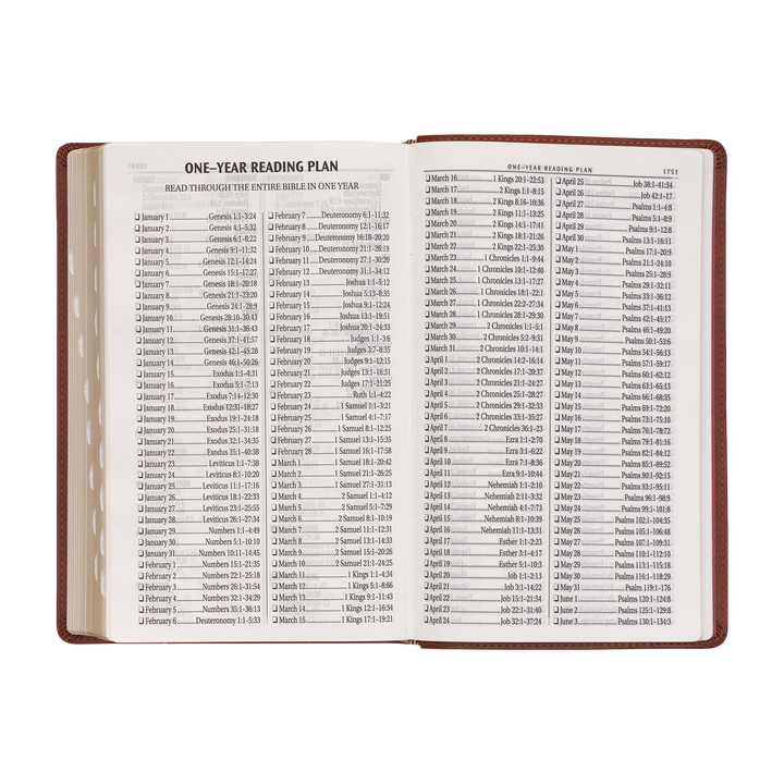 Saddle Tan Faux Leather Giant Print Standard-size King James Version Bible with Thumb Index