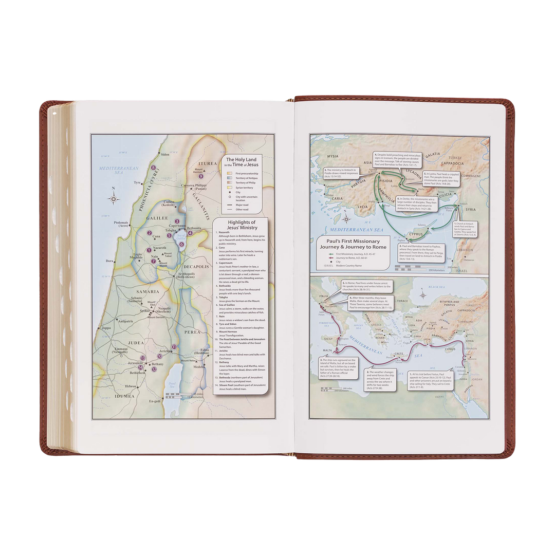 Saddle Tan Faux Leather Giant Print Standard-size King James Version Bible with Thumb Index