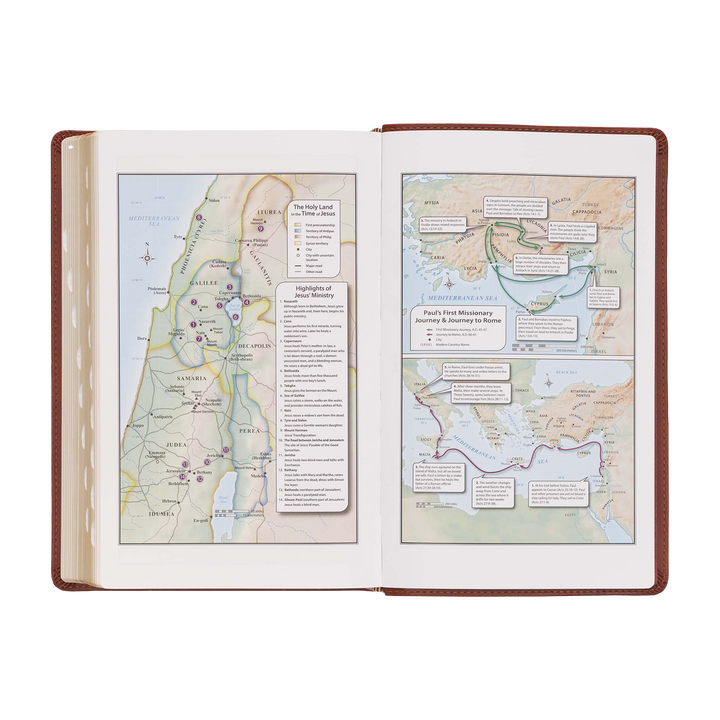 Saddle Tan Faux Leather Giant Print Standard-size King James Version Bible with Thumb Index