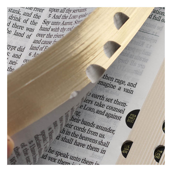 Purple Floral Faux Leather Giant Print Standard-size King James Version Bible with Thumb Index