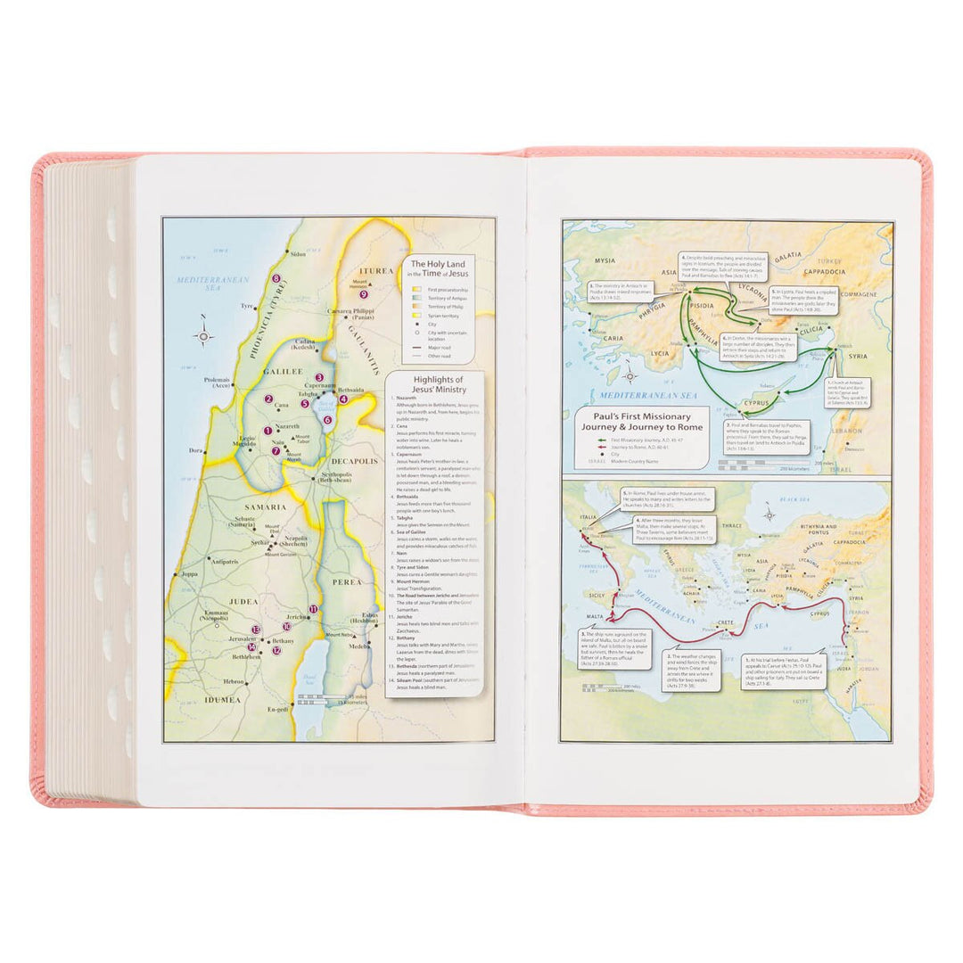 Sunrise Pink Faux Leather Giant Print Standard-size King James Version Bible with Thumb Index