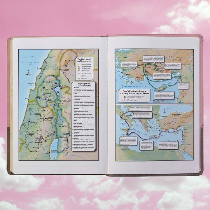 Pink and Gray Faux Leather Super Giant Print Full-size King James Version Bible with Thumb Index