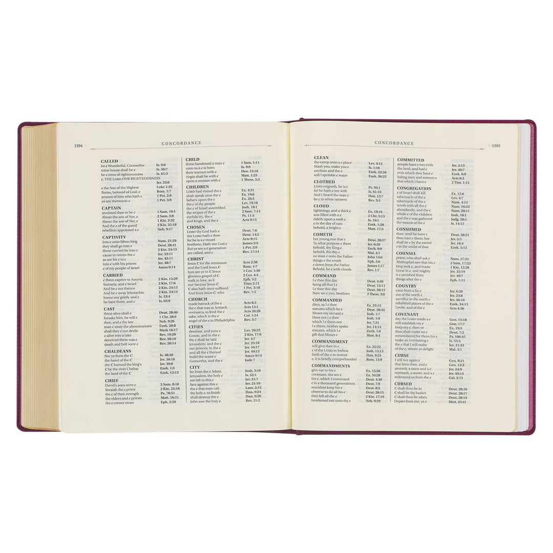 Red Plum Faux Leather Hardcover Large Print King James Version Note-taking Bible