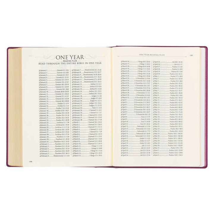 Red Plum Faux Leather Hardcover Large Print King James Version Note-taking Bible