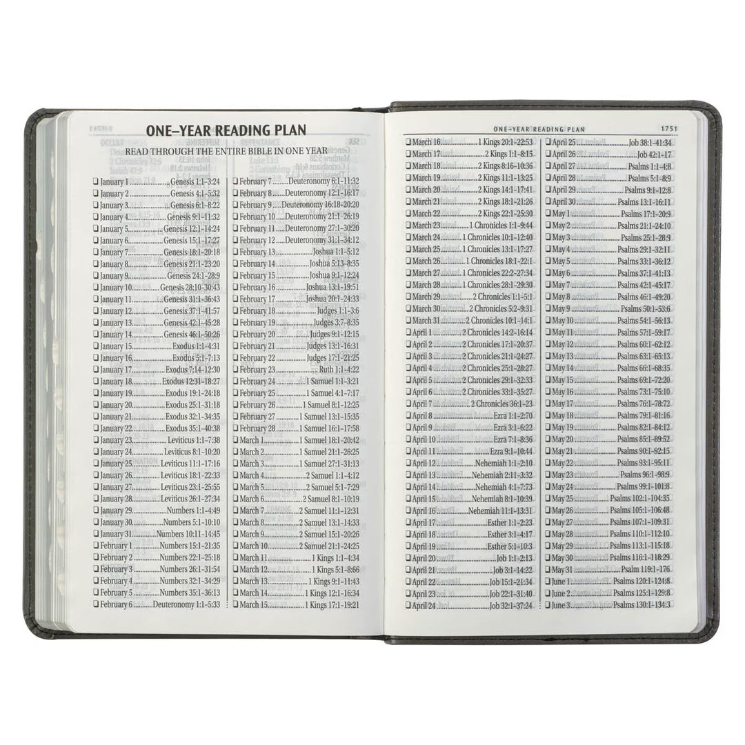 Gray and Black Faux Leather Giant Print Standard-size King James Version Bible with Thumb Index