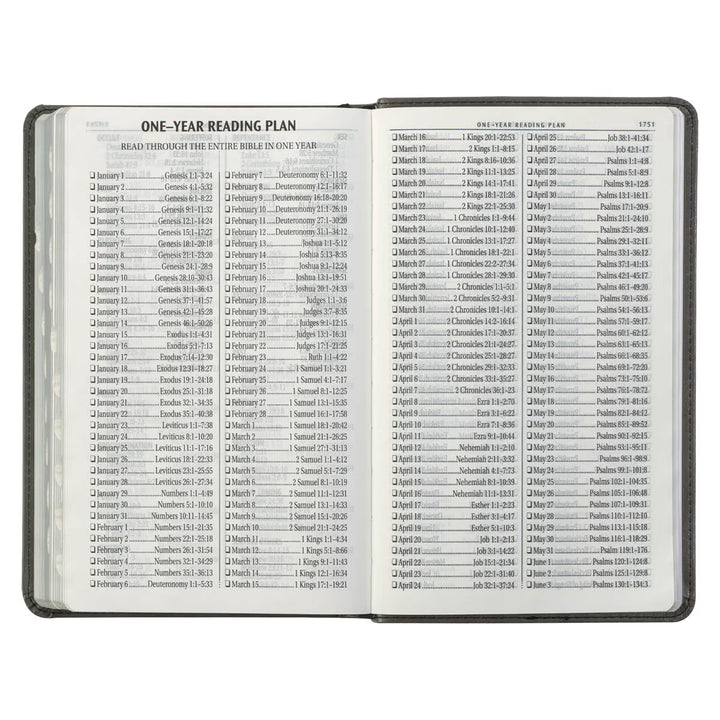 Gray and Black Faux Leather Giant Print Standard-size King James Version Bible with Thumb Index