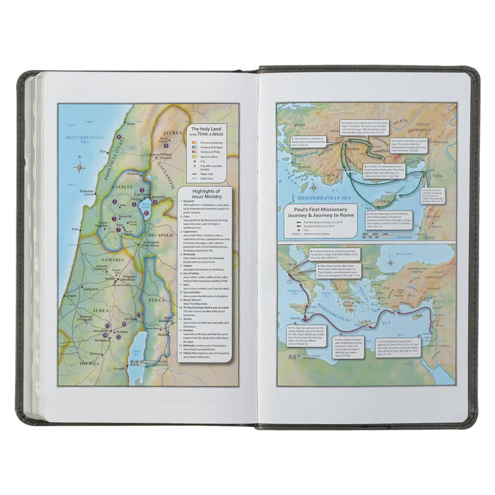 Gray and Black Faux Leather Giant Print Standard-size King James Version Bible with Thumb Index