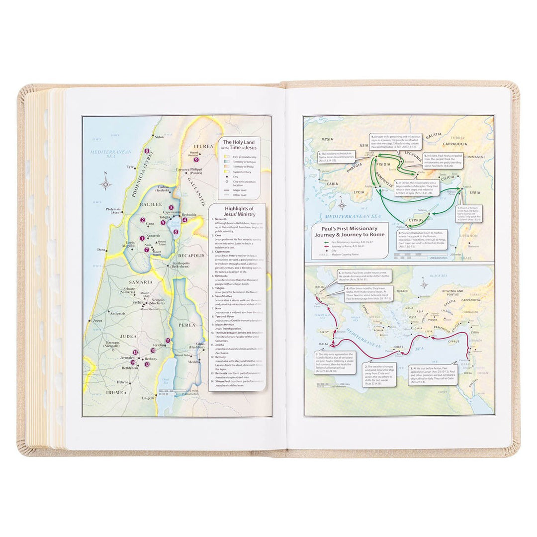 Pearlized Ivory Faux Leather King James Version Deluxe Gift Bible with Thumb Index