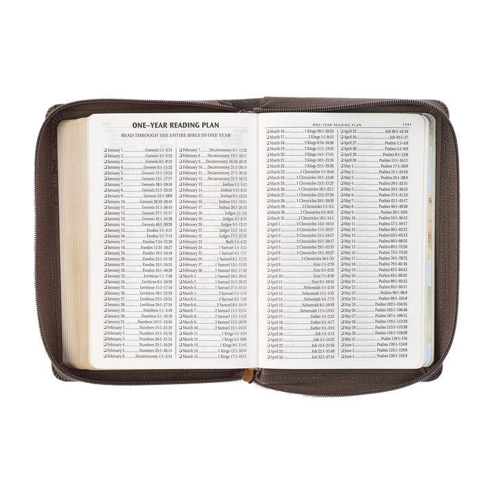 Floral Dusty Taupe Faux Leather Large Print Compact King James Version Bible