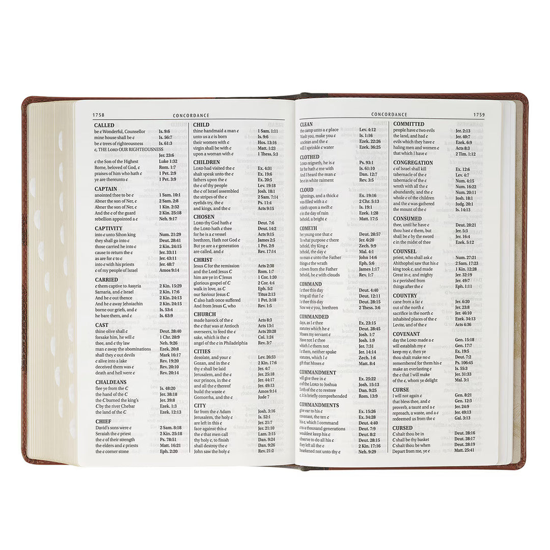 Rooted Brown Faux Leather Hardcover Standard-size Giant Print King James Version Bible with Thumb Index