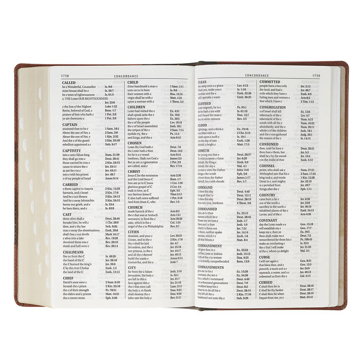 Rooted Brown Faux Leather Hardcover Standard-size Giant Print King James Version Bible with Thumb Index