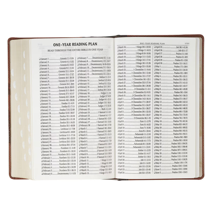 Rooted Brown Faux Leather Hardcover Standard-size Giant Print King James Version Bible with Thumb Index