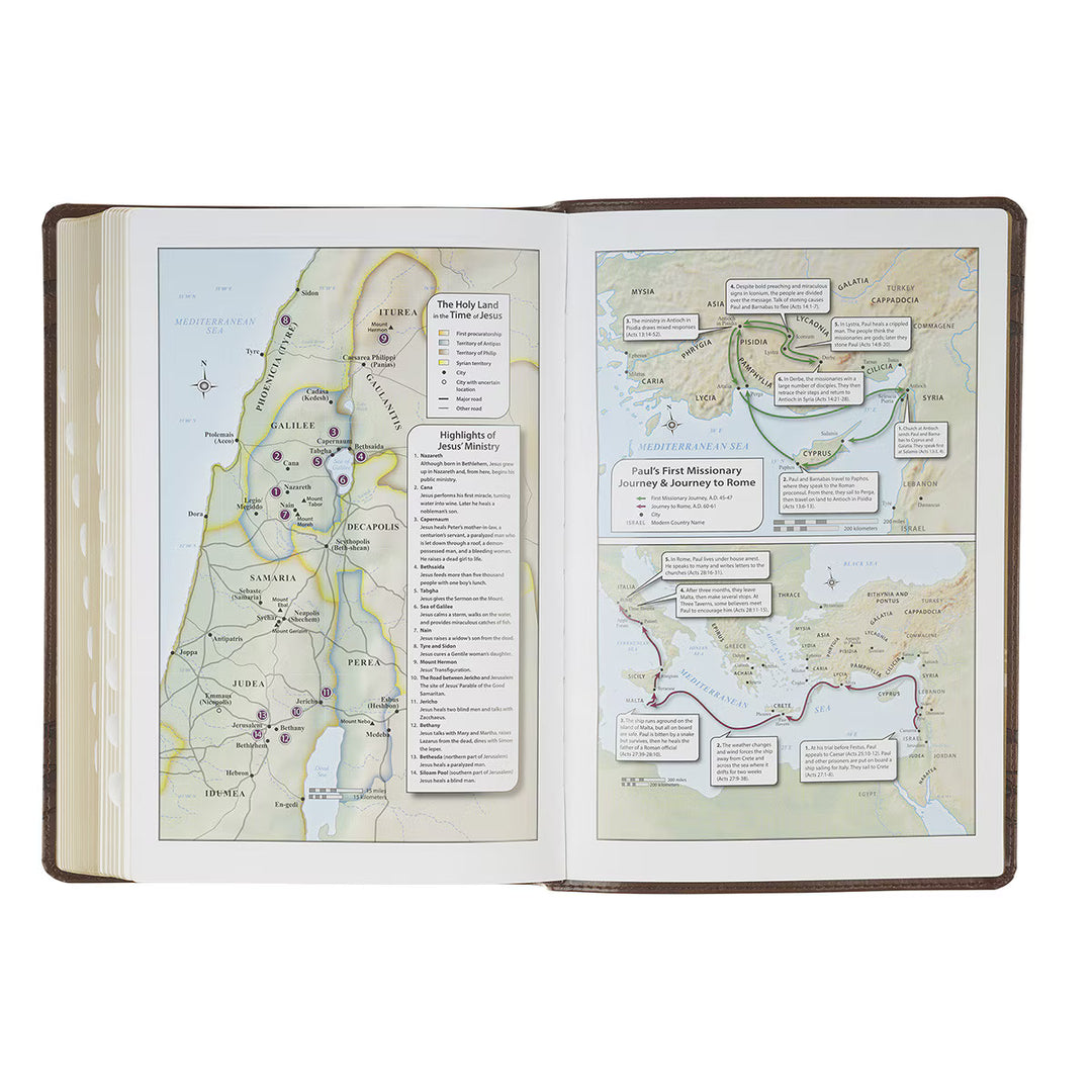 Brown Crown of Thorns Giant Print Full-size King James Version Bible with Thumb Index