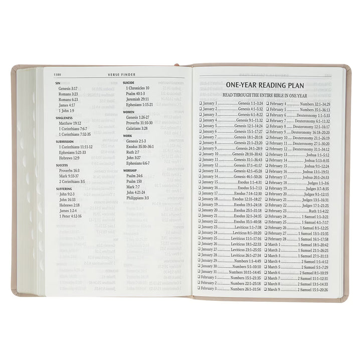 Blush Pink Floral Giant Print Full-size King James Version Bible with Thumb Index