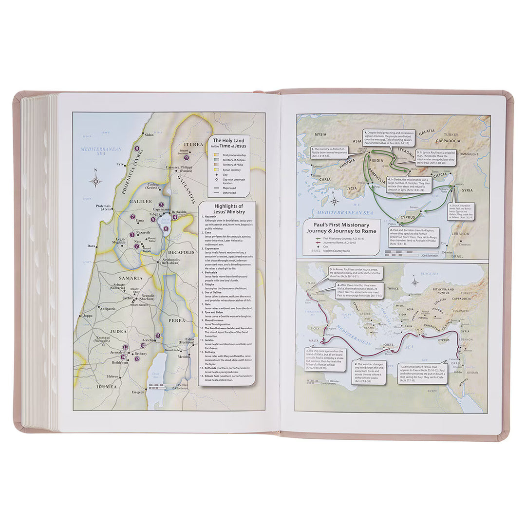 Blush Pink Floral Giant Print Full-size King James Version Bible with Thumb Index