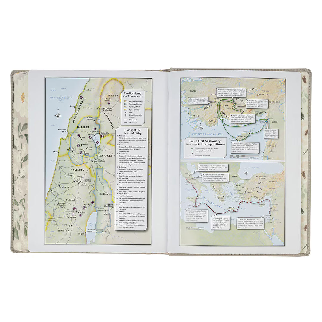 Trust Taupe Faux Leather Large Print King James Version Note-taking Bible
