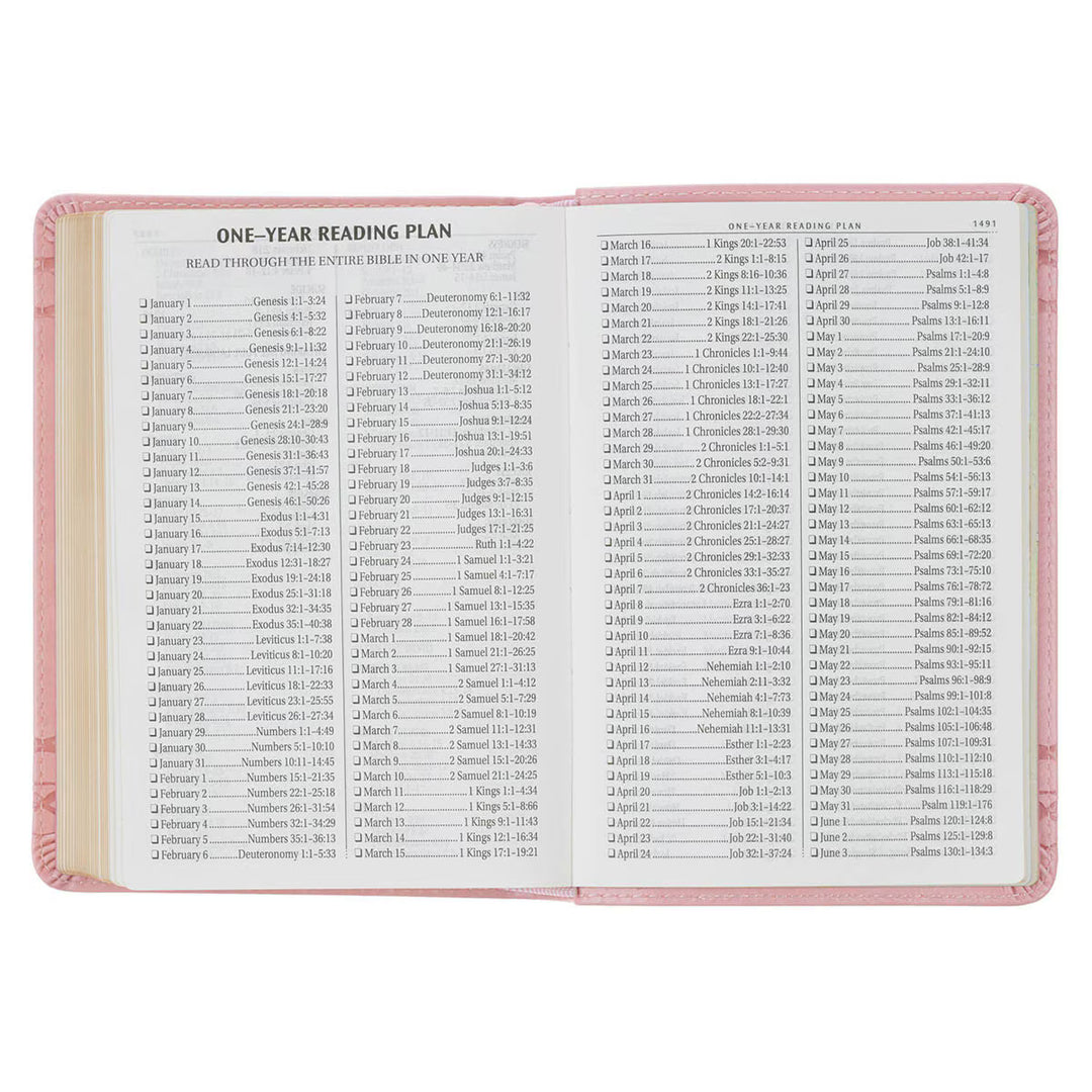 Crown of Thorns Pink faux Leather Large Print Compact King James Bible