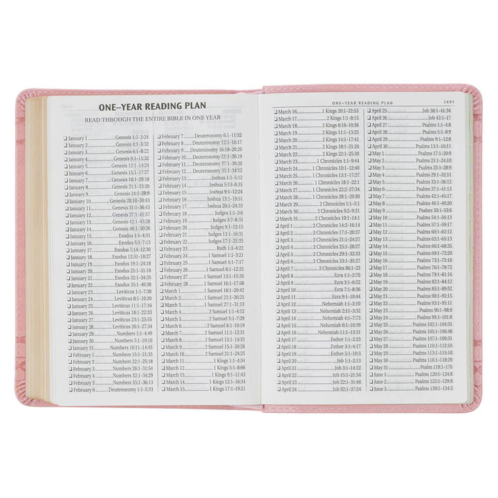 Crown of Thorns Pink faux Leather Large Print Compact King James Bible