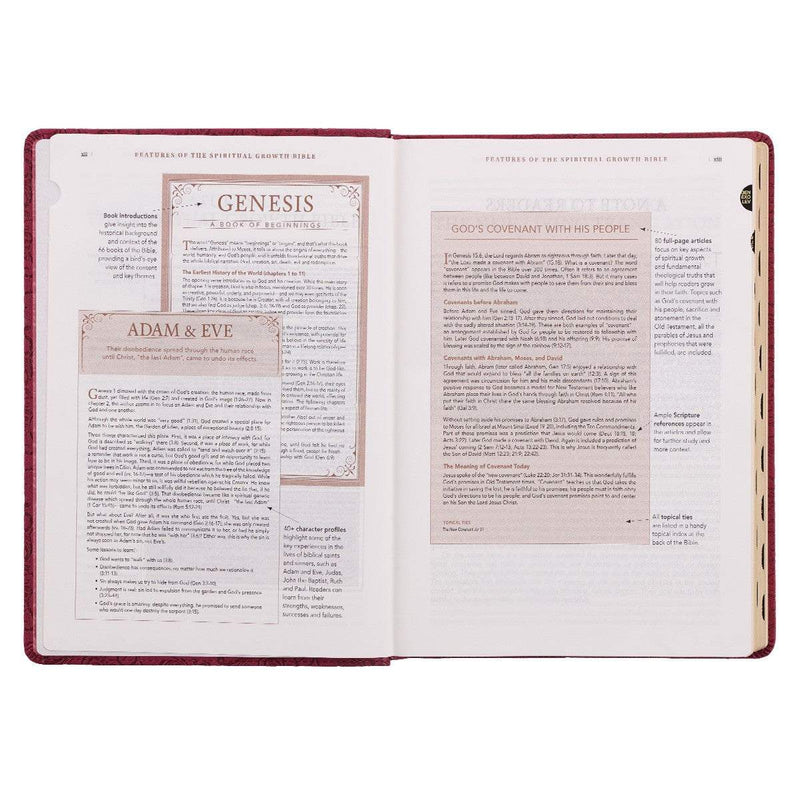 Berry Faux Leather Spiritual Growth Bible