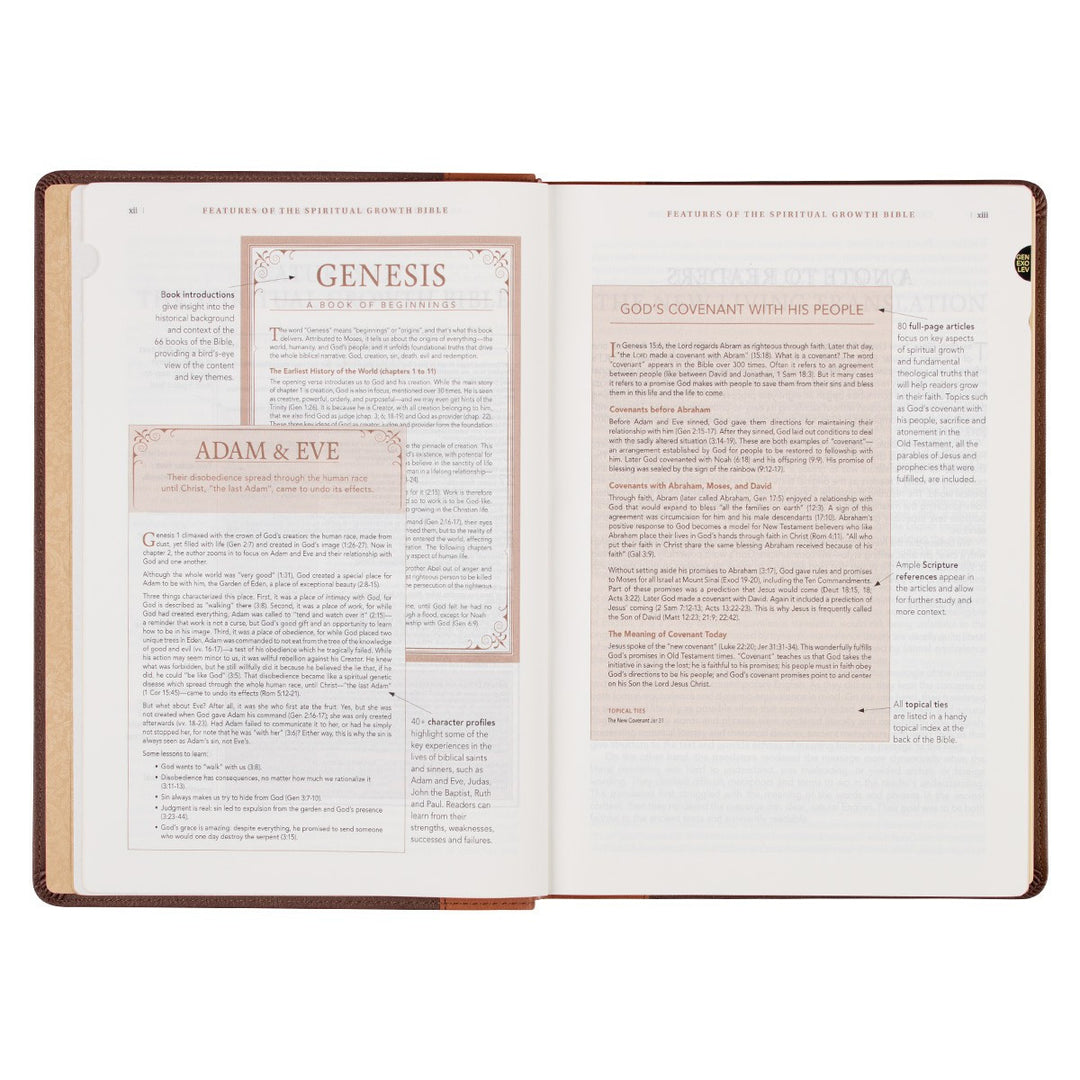Two-tone Espresso and Toffee Brown Faux Leather Spiritual Growth Bible