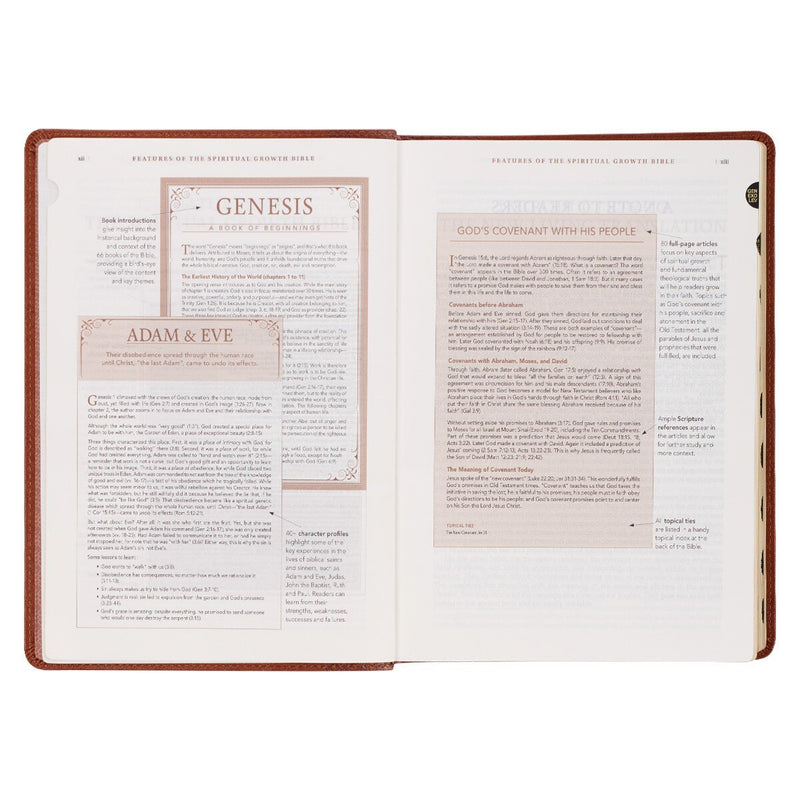 Saddle Tan Faux Leather Spiritual Growth Bible