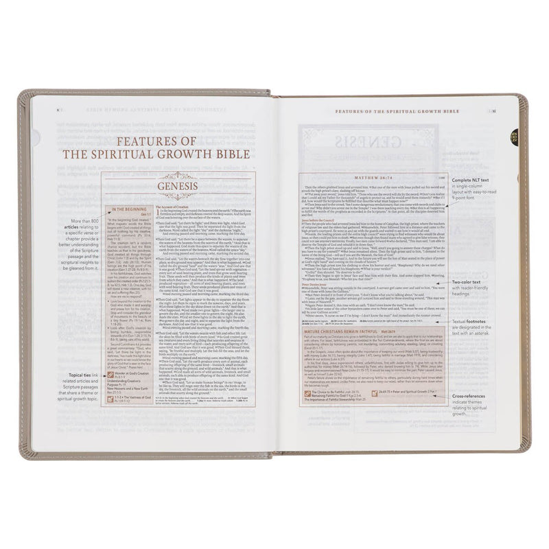 Embroidered Taupe Faux Leather Spiritual Growth Bible