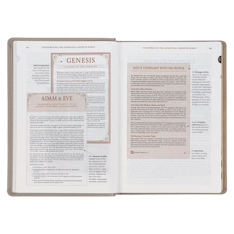 Embroidered Taupe Faux Leather Spiritual Growth Bible