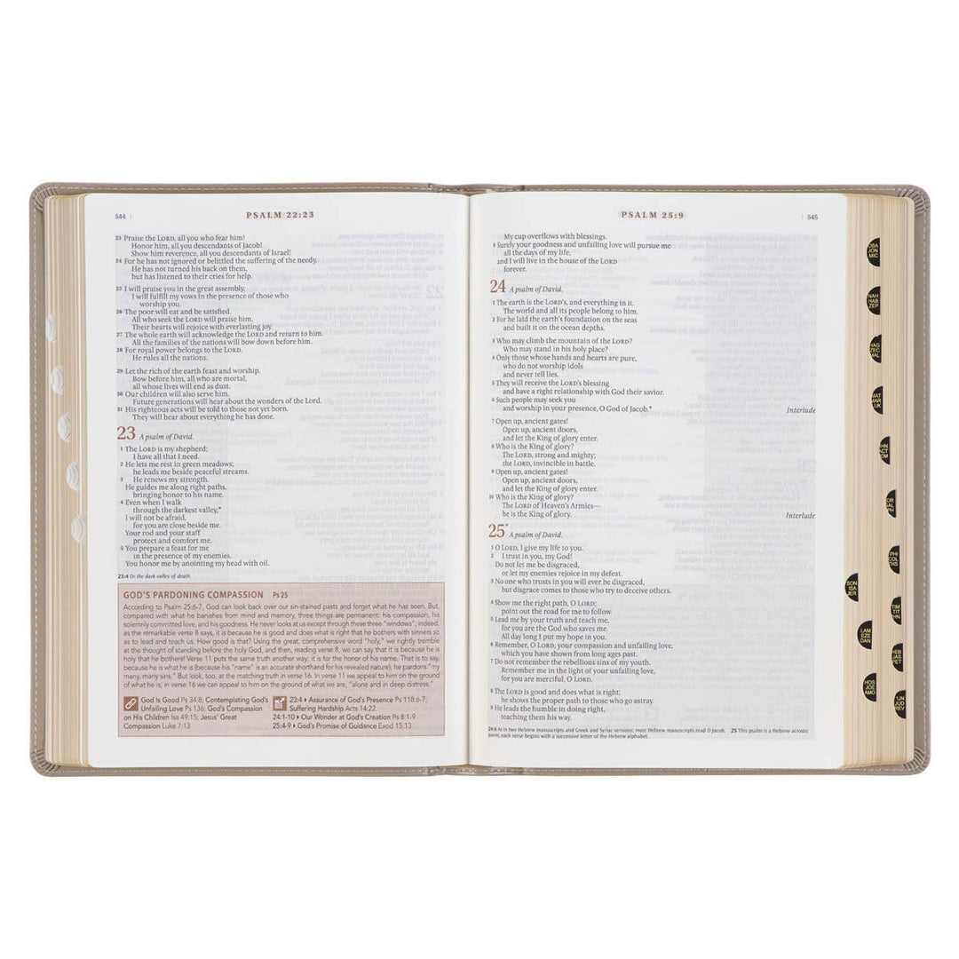 Embroidered Taupe Faux Leather Spiritual Growth Bible