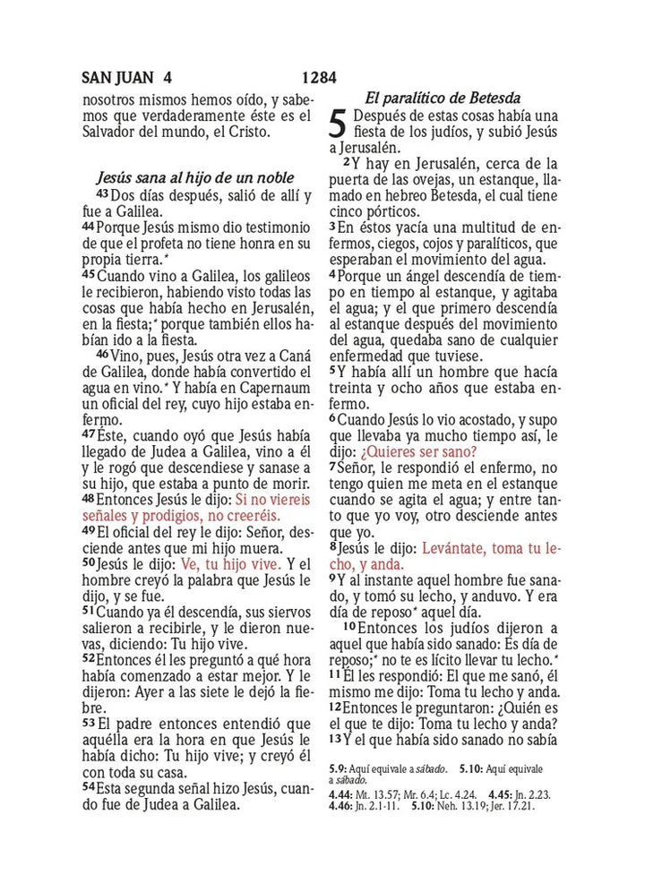 Biblia RVR 1960 Compacta Símil Piel Juvenil Mariposa Lila (Bible RVR 1960 Compact Size LeatherLike Youth Lilac Butterfly (Spanish Edition) Leather Bound