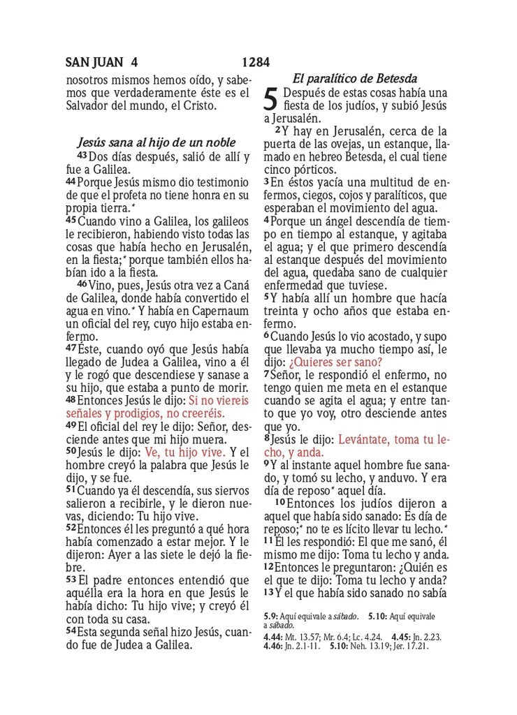 Biblia RVR 1960 Compacta Símil Piel Juvenil Mariposa Lila (Bible RVR 1960 Compact Size LeatherLike Youth Lilac Butterfly (Spanish Edition) Leather Bound