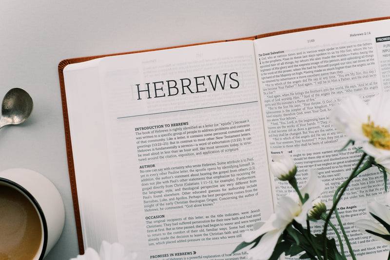The Holy Bible: The Barbour Simplified KJV Bible Promise Book Edition [Chestnut Floral]