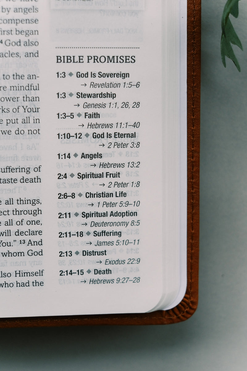 The Holy Bible: The Barbour Simplified KJV Bible Promise Book Edition [Chestnut Floral]