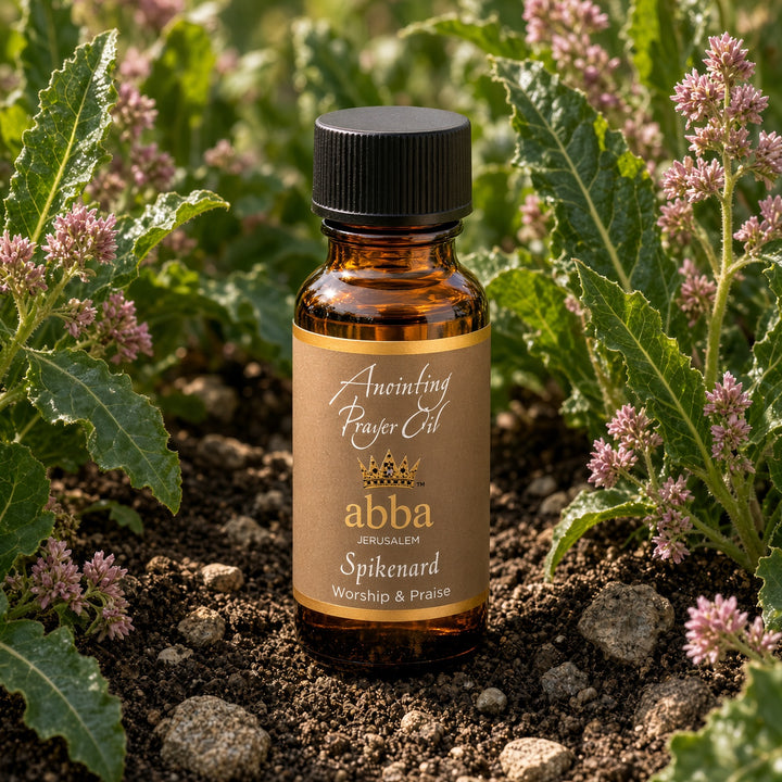 Spikenard - Praise &amp; Worship - 1/4 oz to 4 oz Abba