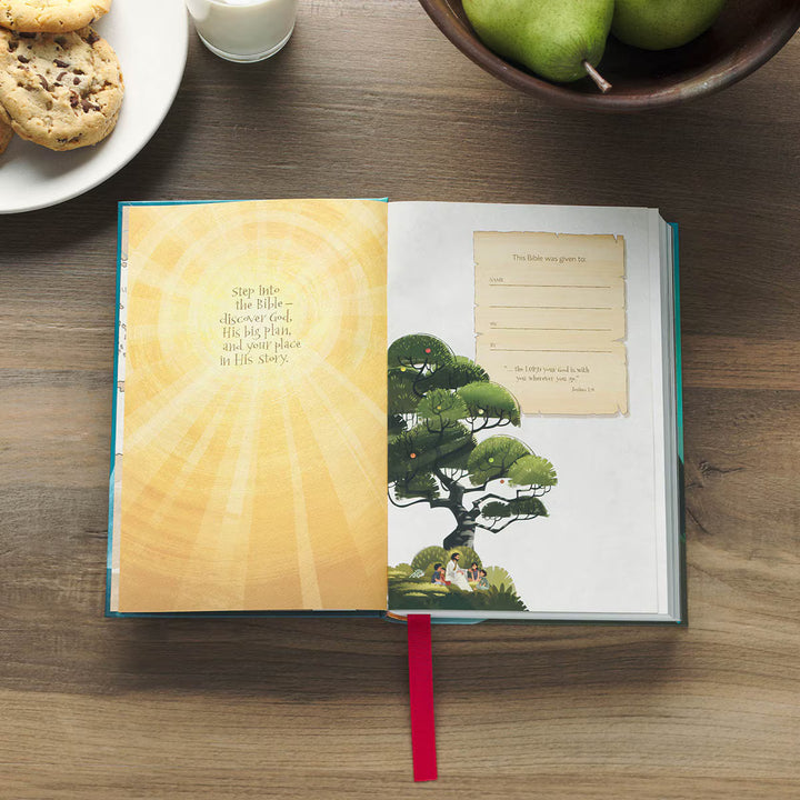 Hardcover Discovery Bible - Hardcover