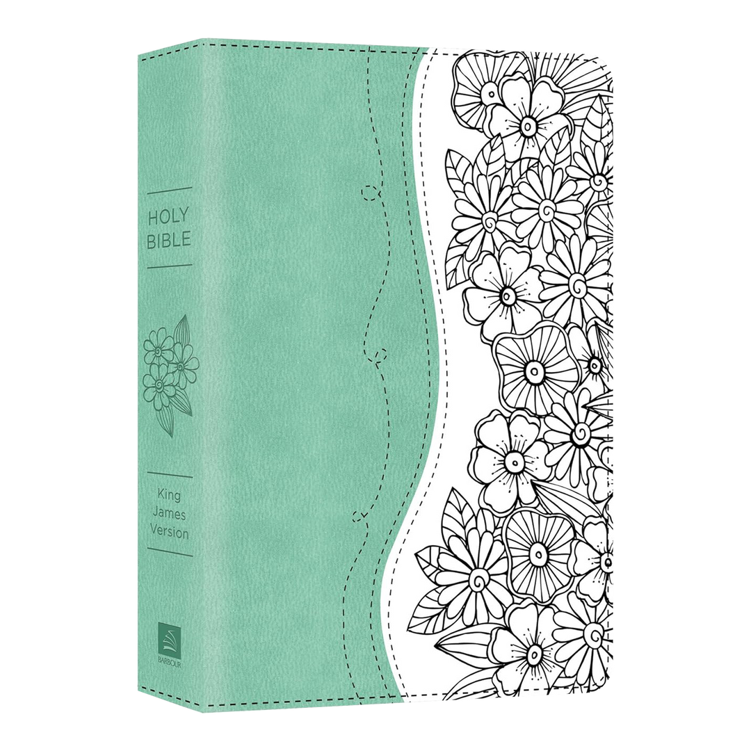 Holy Bible The Personal Reflections KJV Bible