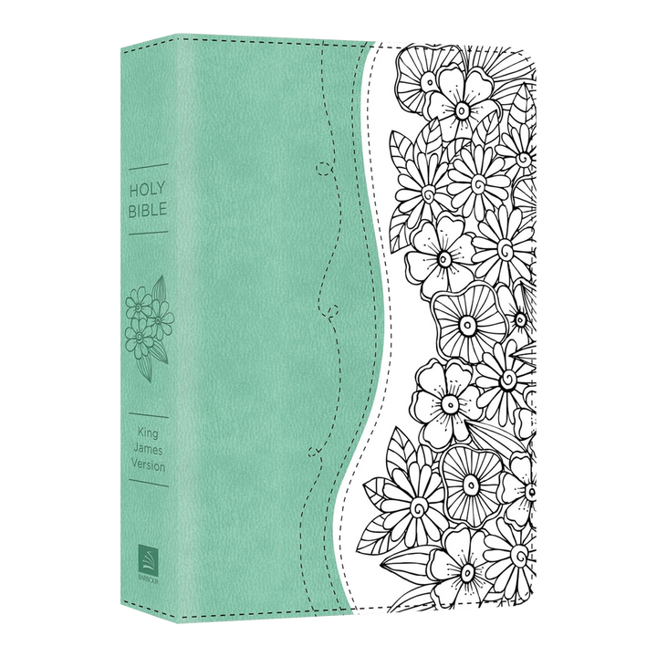 Holy Bible The Personal Reflections KJV Bible