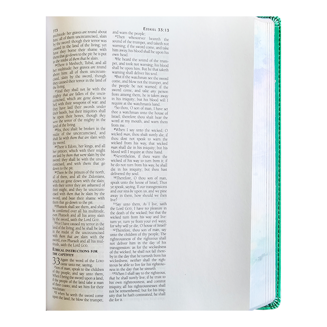 Holy Bible The Personal Reflections KJV Bible