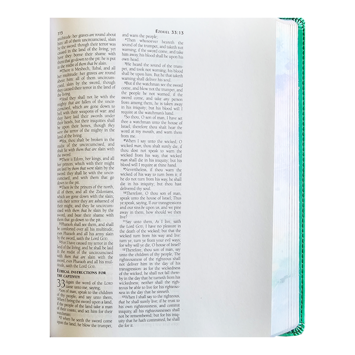 Holy Bible The Personal Reflections KJV Bible